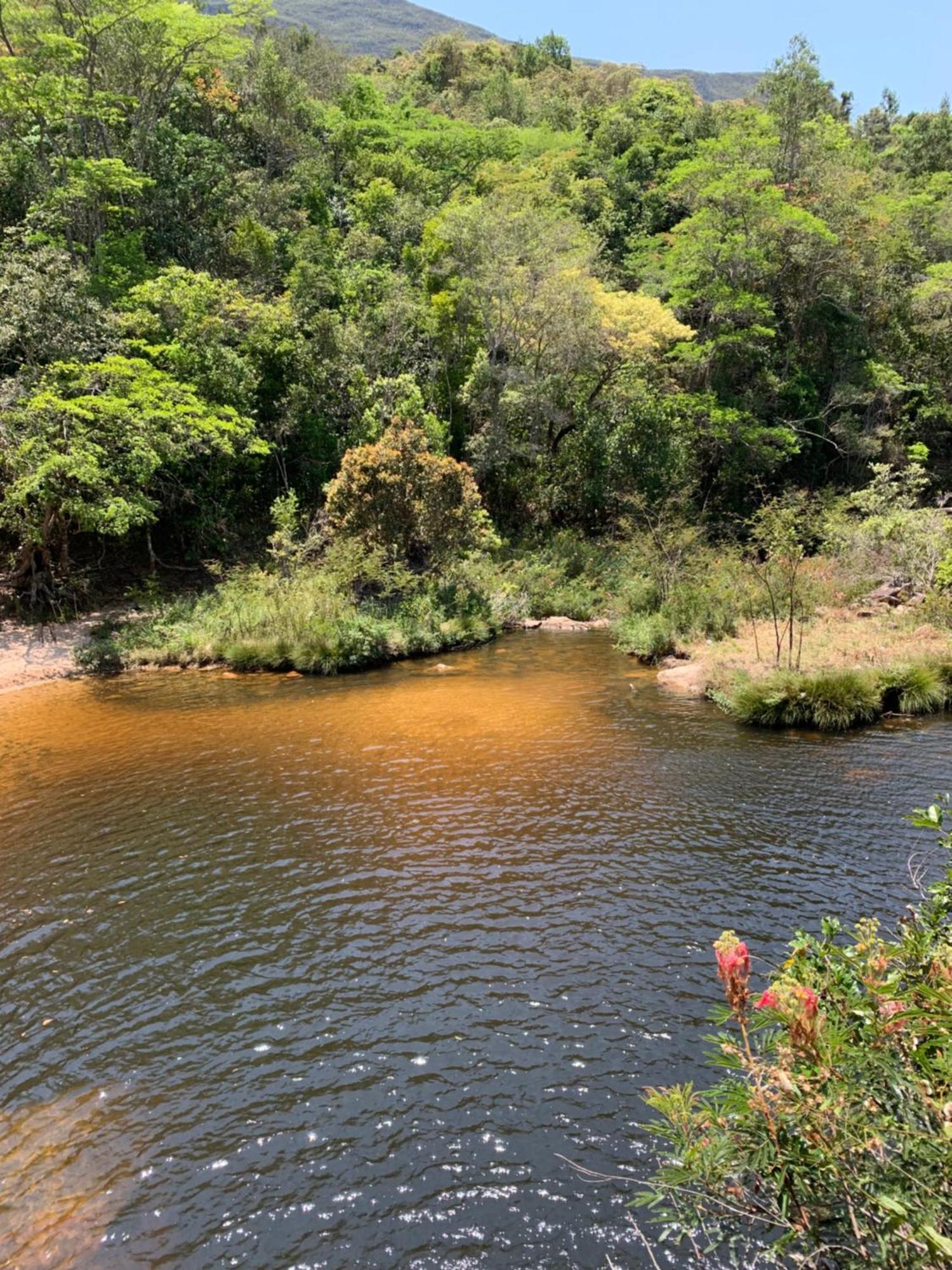 Reserva Do Bosque E Natureza Lodge *